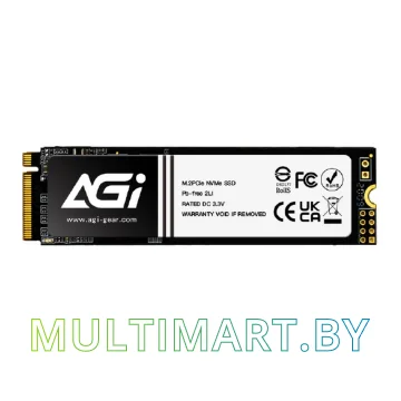 SSD диск AGI AI198 256GB (AGI256G80AI198R)